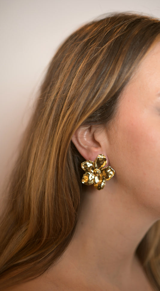 Puces d'oreilles Mathou