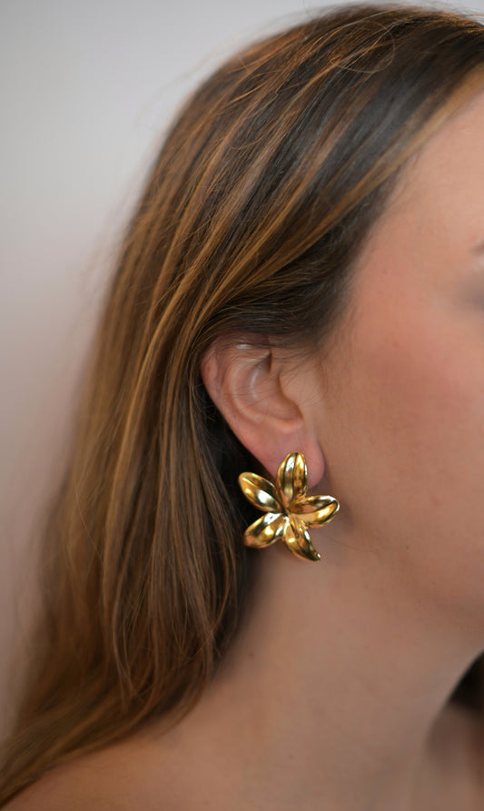 Puces d'oreilles Tiare